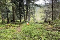 IMG-20230507-WA0000-1