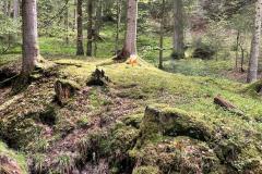 IMG-20230507-WA0002-1