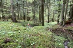 IMG-20230507-WA0003-1