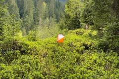 IMG-20230507-WA0006-1