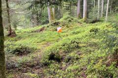 IMG-20230507-WA0007-1