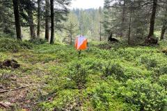 IMG-20230507-WA0008-1