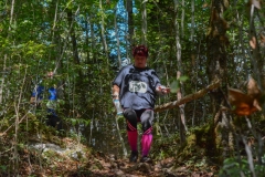 Schweizer Meisterschaft Mittel