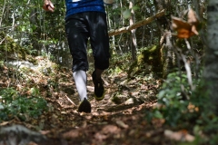 Schweizer Meisterschaft Mittel