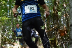 Schweizer Meisterschaft Mittel