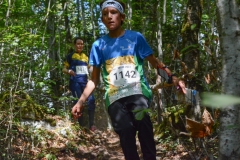 Schweizer Meisterschaft Mittel