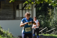 Schweizer Meisterschaft Mittel