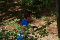 Schweizer Meisterschaft Mittel