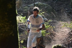 Schweizer Meisterschaft Mittel