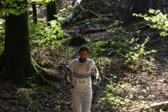 Schweizer Meisterschaft Mittel