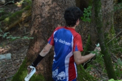 Schweizer Meisterschaft Mittel