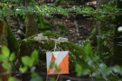 Schweizer Meisterschaft Mittel