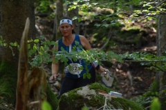 Schweizer Meisterschaft Mittel