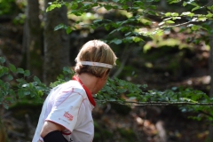 Schweizer Meisterschaft Mittel