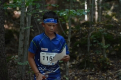 Schweizer Meisterschaft Mittel