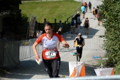 Schweizer Meisterschaft Mittel