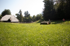 Schweizer Meisterschaft Mittel