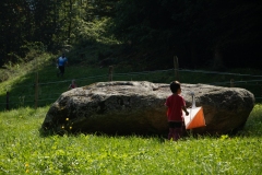 Schweizer Meisterschaft Mittel