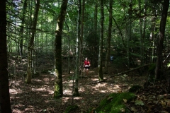 Schweizer Meisterschaft Mittel