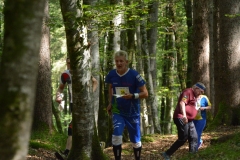 Schweizer Meisterschaft Mittel