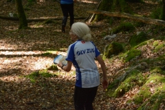 Schweizer Meisterschaft Mittel