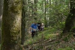 Schweizer Meisterschaft Mittel