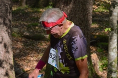 Schweizer Meisterschaft Mittel