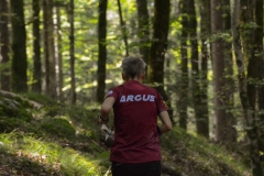 Schweizer Meisterschaft Mittel