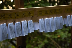 Schweizer Meisterschaft Mittel