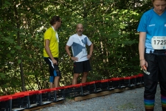 Schweizer Meisterschaft Mittel