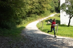 Schweizer Meisterschaft Mittel