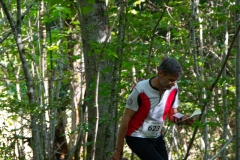 Schweizer Meisterschaft Mittel