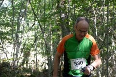 Schweizer Meisterschaft Mittel