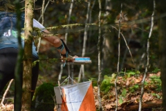 Schweizer Meisterschaft Mittel