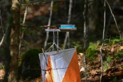 Schweizer Meisterschaft Mittel