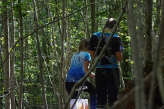 Schweizer Meisterschaft Mittel