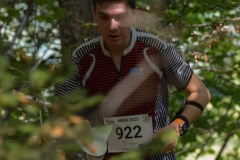 Schweizer Meisterschaft Mittel