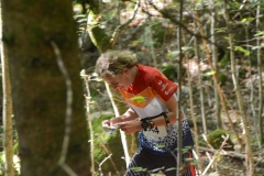 Schweizer Meisterschaft Mittel