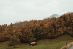 Ballenberg November 2022