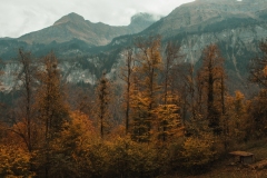 Ballenberg November 2022