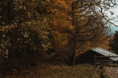 Ballenberg November 2022