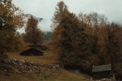 Ballenberg November 2022