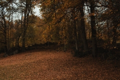 Ballenberg November 2022