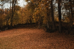 Ballenberg November 2022