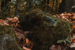 Ballenberg November 2022