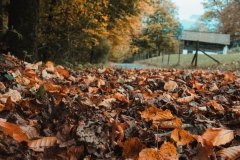 Ballenberg November 2022