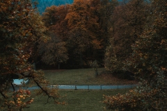 Ballenberg November 2022