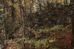 Ballenberg November 2022