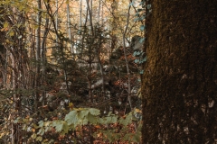 Ballenberg November 2022