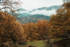 Ballenberg November 2022